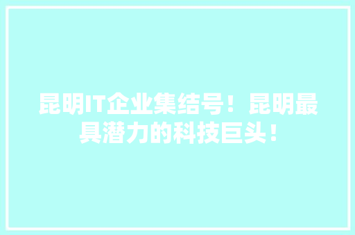 昆明IT企业集结号！昆明最具潜力的科技巨头！