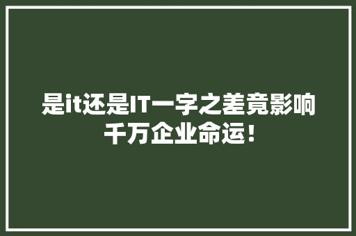 是it还是IT一字之差竟影响千万企业命运！ 网站建设