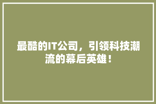 最酷的IT公司，引领科技潮流的幕后英雄！