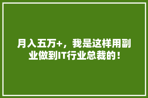月入五万+，我是这样用副业做到IT行业总裁的！