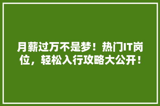 月薪过万不是梦！热门IT岗位，轻松入行攻略大公开！ 前端技术
