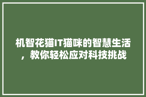 机智花猫IT猫咪的智慧生活，教你轻松应对科技挑战 商务信函