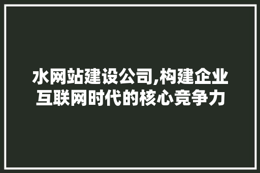 水网站建设公司,构建企业互联网时代的核心竞争力 前端技术
