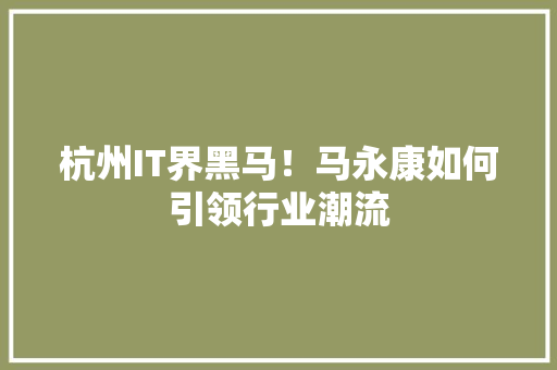 杭州IT界黑马！马永康如何引领行业潮流