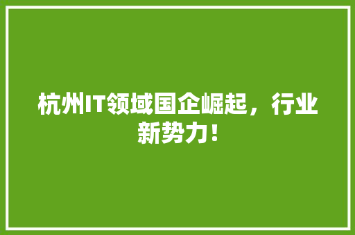 杭州IT领域国企崛起，行业新势力！ 网站建设