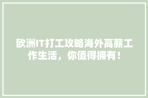 欧洲IT打工攻略海外高薪工作生活，你值得拥有！