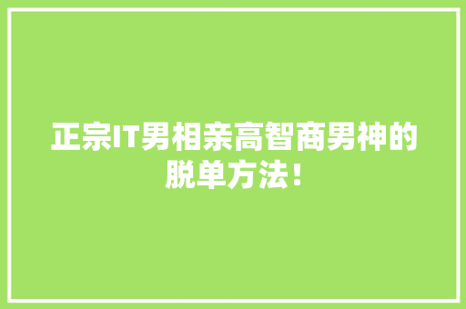 正宗IT男相亲高智商男神的脱单方法！