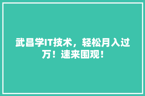 武昌学IT技术，轻松月入过万！速来围观！