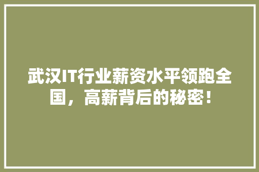 武汉IT行业薪资水平领跑全国，高薪背后的秘密！ 项目报告