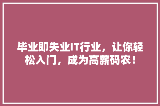 毕业即失业IT行业，让你轻松入门，成为高薪码农！ 网站建设
