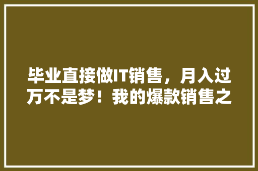 毕业直接做IT销售，月入过万不是梦！我的爆款销售之路！