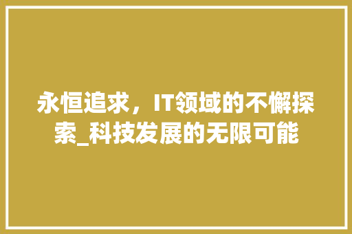 永恒追求，IT领域的不懈探索_科技发展的无限可能 项目报告