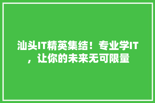 汕头IT精英集结！专业学IT，让你的未来无可限量