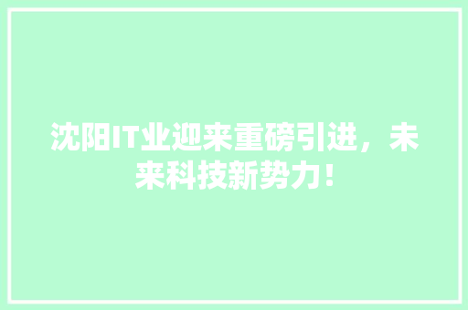 沈阳IT业迎来重磅引进，未来科技新势力！