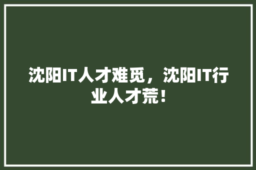 沈阳IT人才难觅，沈阳IT行业人才荒！