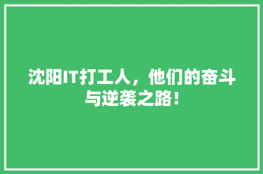 沈阳IT打工人，他们的奋斗与逆袭之路！