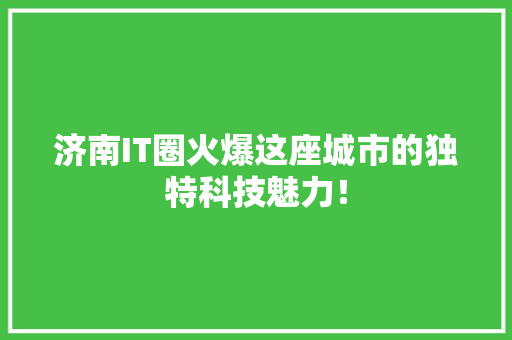 济南IT圈火爆这座城市的独特科技魅力！