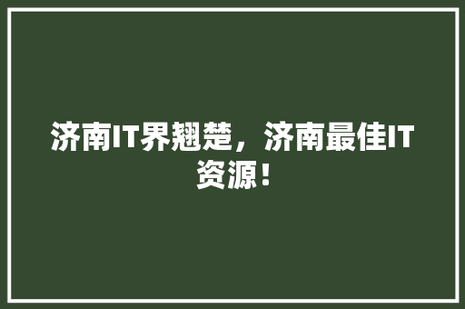 济南IT界翘楚，济南最佳IT资源！