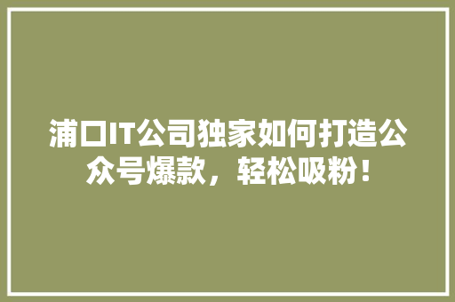 浦口IT公司独家如何打造公众号爆款，轻松吸粉！ 商务信函