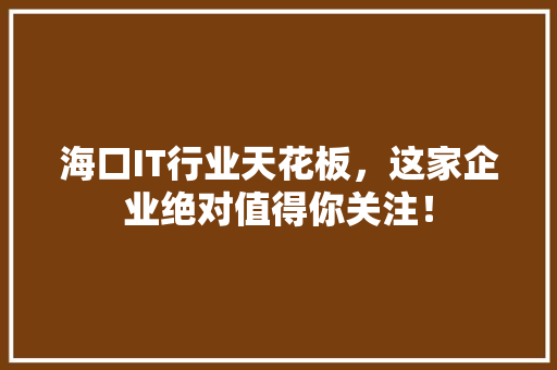 海口IT行业天花板，这家企业绝对值得你关注！