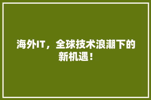 海外IT，全球技术浪潮下的新机遇！ 市场营销范文