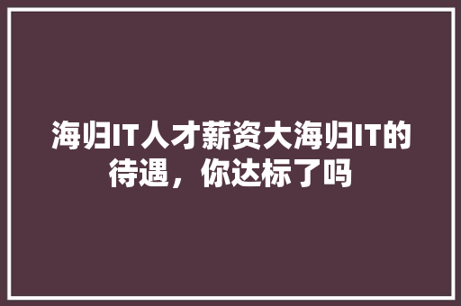 海归IT人才薪资大海归IT的待遇，你达标了吗 响应式设计