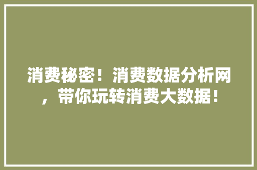 消费秘密！消费数据分析网，带你玩转消费大数据！