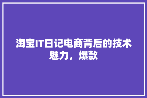 淘宝IT日记电商背后的技术魅力，爆款 项目报告