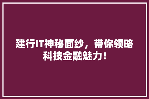 建行IT神秘面纱，带你领略科技金融魅力！