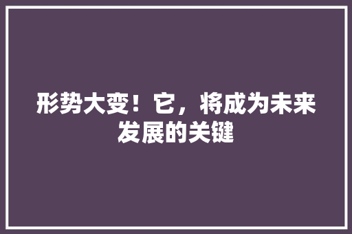 形势大变！它，将成为未来发展的关键