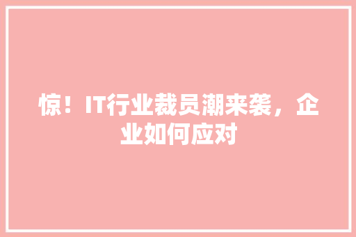 惊！IT行业裁员潮来袭，企业如何应对