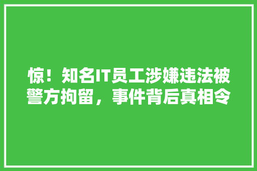 惊！知名IT员工涉嫌违法被警方拘留，事件背后真相令人震惊！