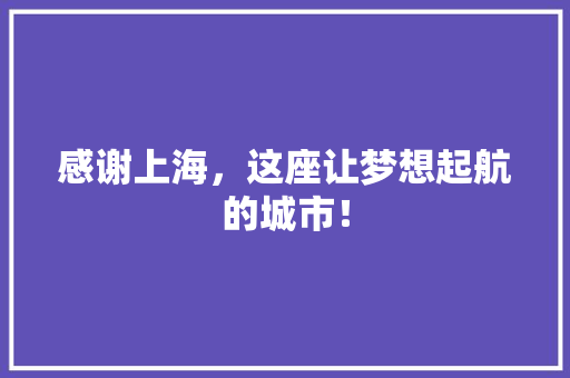 感谢上海，这座让梦想起航的城市！