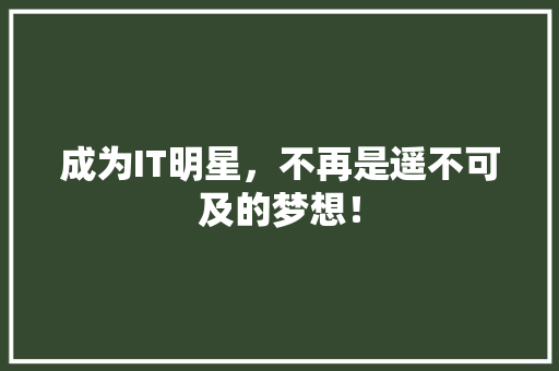 成为IT明星，不再是遥不可及的梦想！ 项目报告