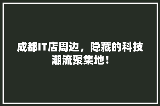成都IT店周边，隐藏的科技潮流聚集地！