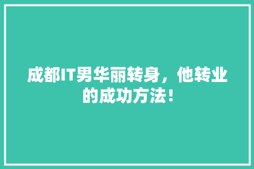 成都IT男华丽转身，他转业的成功方法！ 市场营销范文