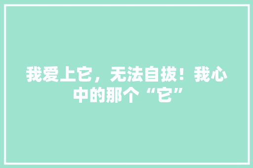 我爱上它，无法自拔！我心中的那个“它”