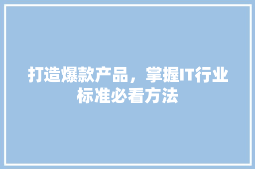 打造爆款产品，掌握IT行业标准必看方法 项目报告