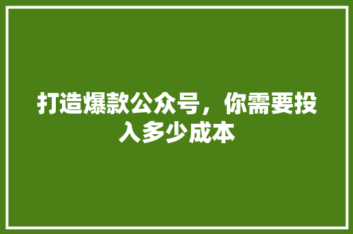 打造爆款公众号，你需要投入多少成本 前端技术