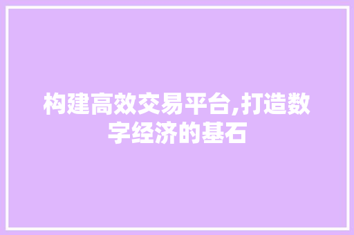 构建高效交易平台,打造数字经济的基石
