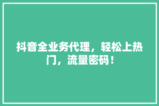 抖音全业务代理，轻松上热门，流量密码！ 项目报告