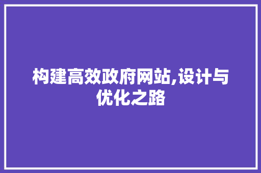 构建高效政府网站,设计与优化之路
