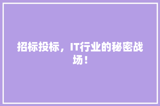 招标投标，IT行业的秘密战场！