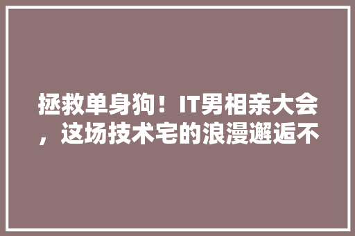 拯救单身狗！IT男相亲大会，这场技术宅的浪漫邂逅不容错过