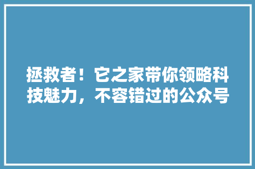 拯救者！它之家带你领略科技魅力，不容错过的公众号爆款！ 项目报告