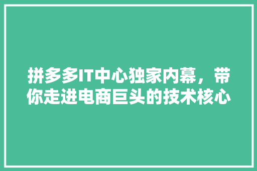 拼多多IT中心独家内幕，带你走进电商巨头的技术核心！
