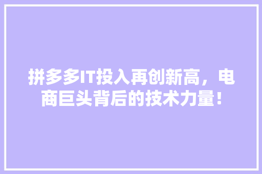 拼多多IT投入再创新高，电商巨头背后的技术力量！