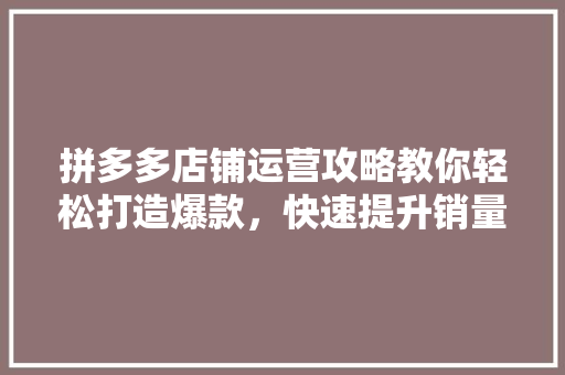 拼多多店铺运营攻略教你轻松打造爆款，快速提升销量！ 响应式设计