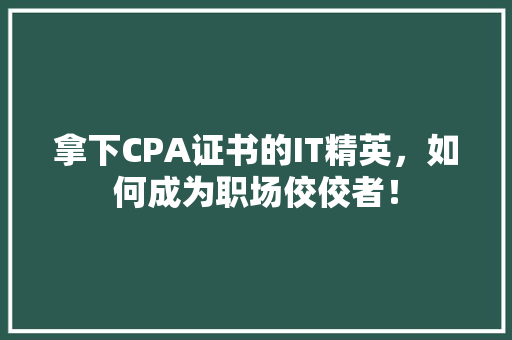 拿下CPA证书的IT精英，如何成为职场佼佼者！