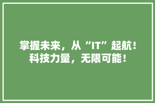 掌握未来，从“IT”起航！科技力量，无限可能！